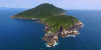 Ilha do Arvoredo